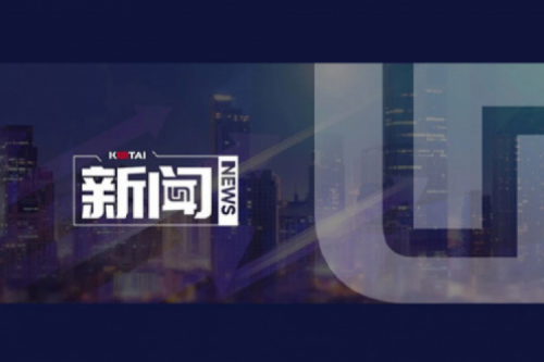 AI驱动新增长，扣非净利提升10%，开元体育数码2025一季度稳健开局